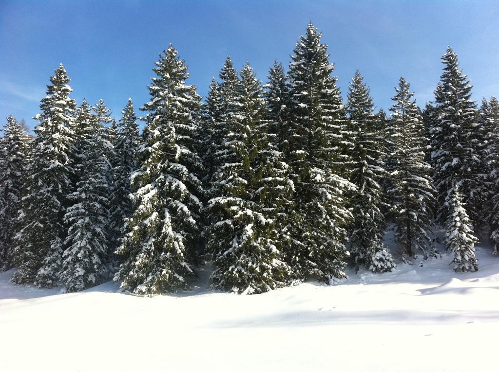 Alpenvilla Garni Hotel